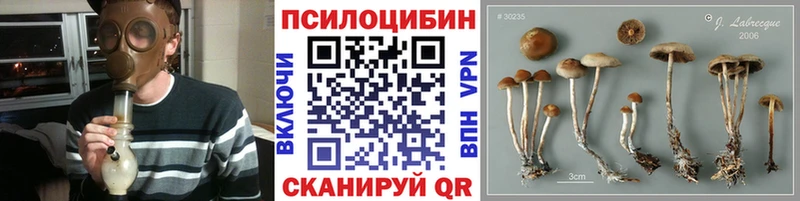 Галлюциногенные грибы MAGIC MUSHROOMS  ссылка на мегу маркетплейс  Фролово 